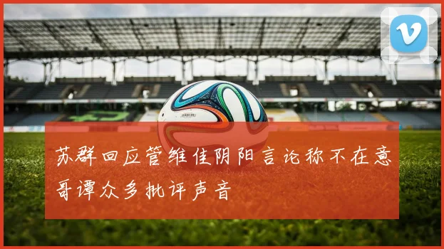 苏群回应管维佳阴阳言论称不在意哥谭众多批评声音
